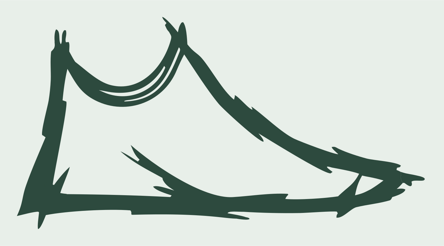 Hand-Drawn Sneaker Sketch Mark #e8efe9/#2d4a3e