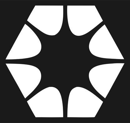 Negative Space Hexagon Star Mark #1a1a1a/#ffffff