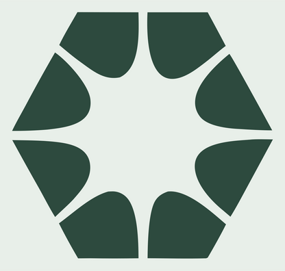 Negative Space Hexagon Star Mark #e8efe9/#2d4a3e