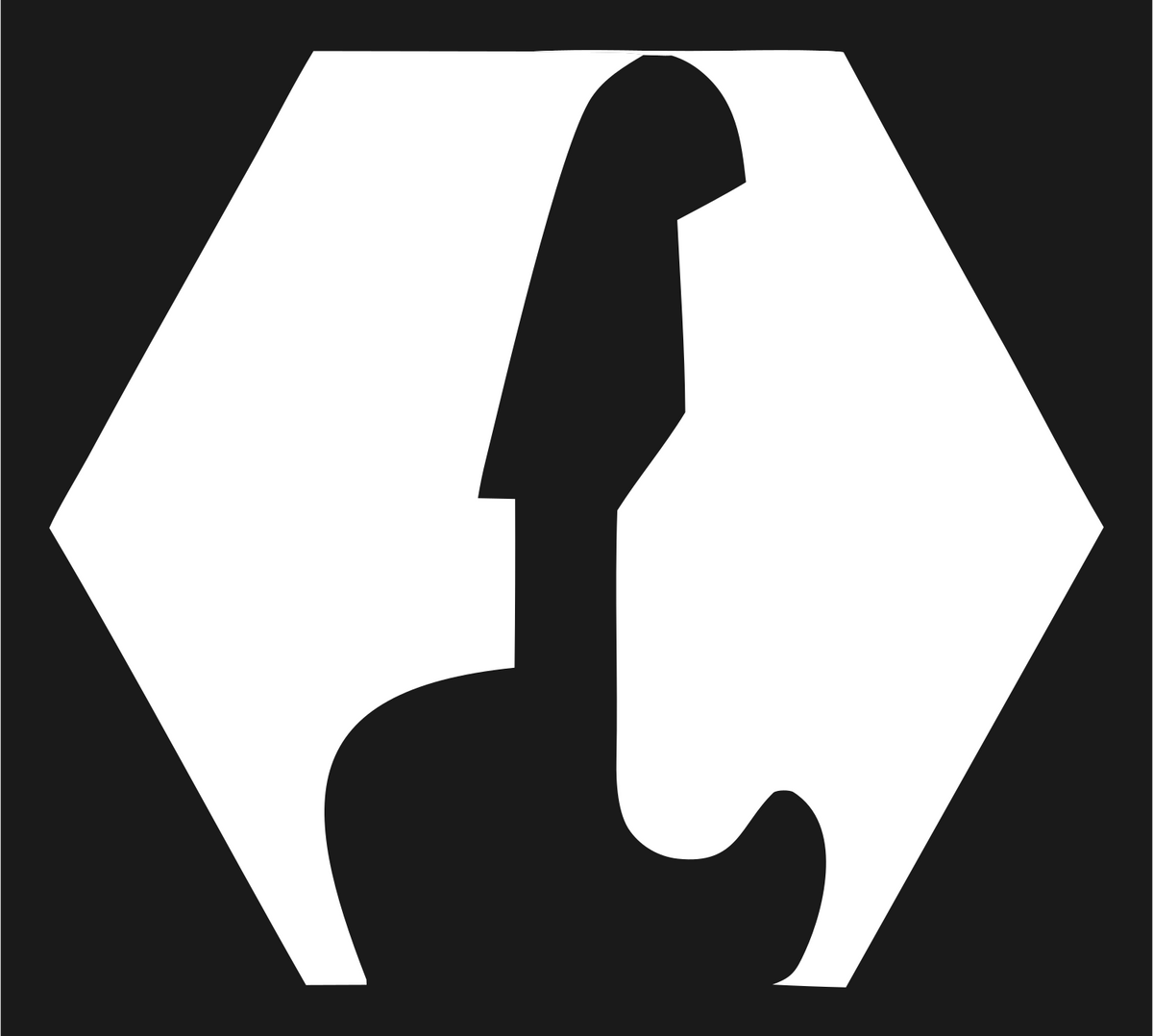 Negative Space Guitar Hexagon Mark #1a1a1a/#ffffff