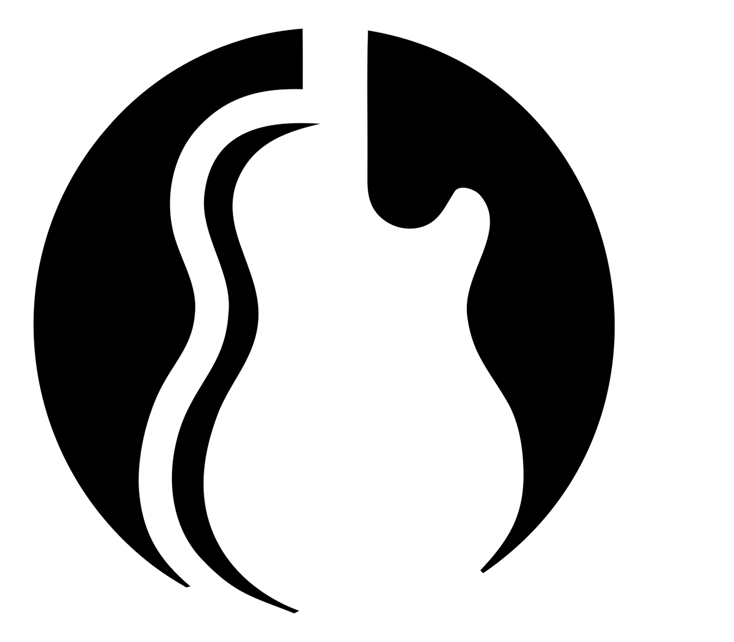 Negative Space Guitar Body Emblem #ffffff/#000000