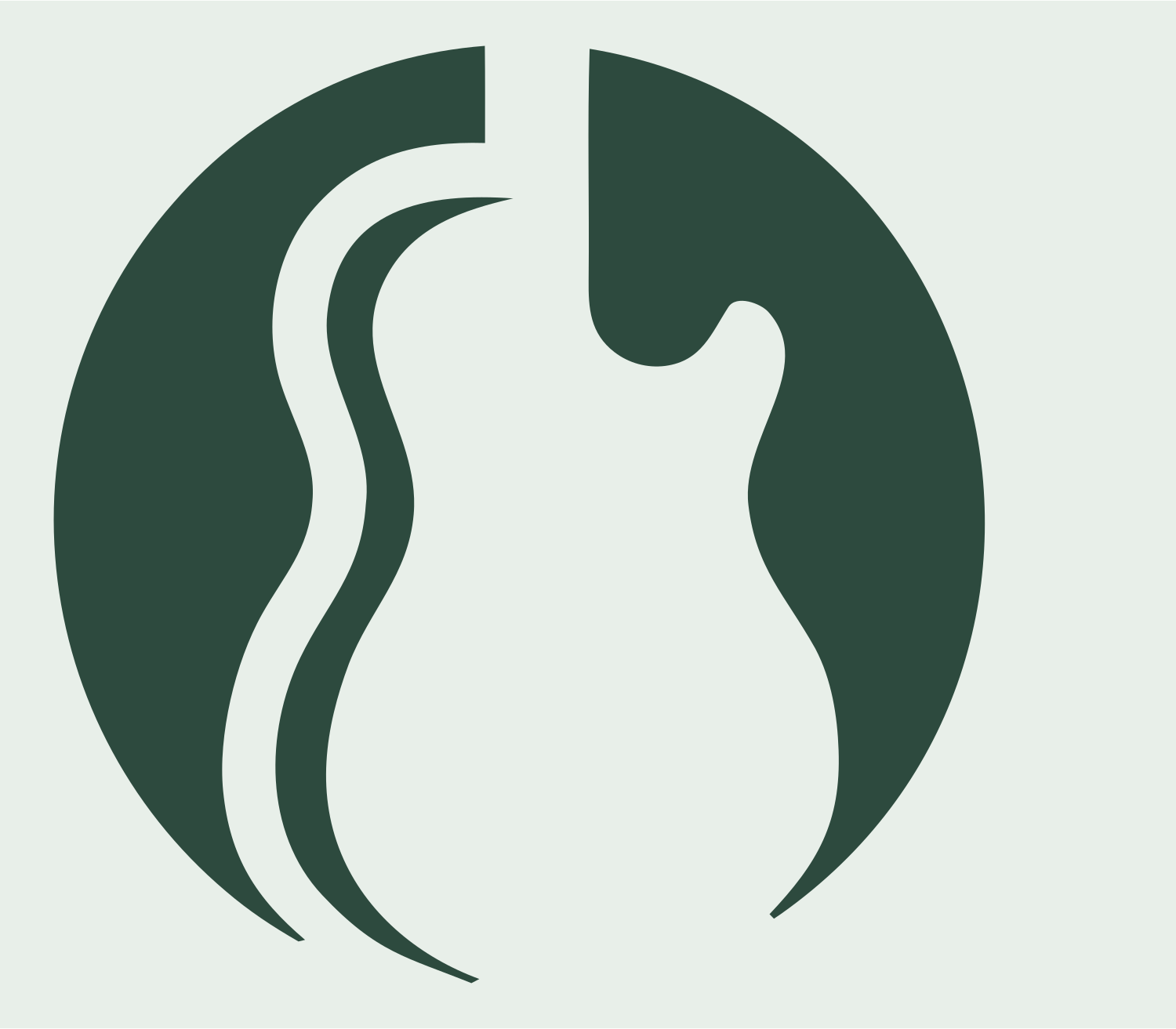 Negative Space Guitar Body Emblem #e8efe9/#2d4a3e
