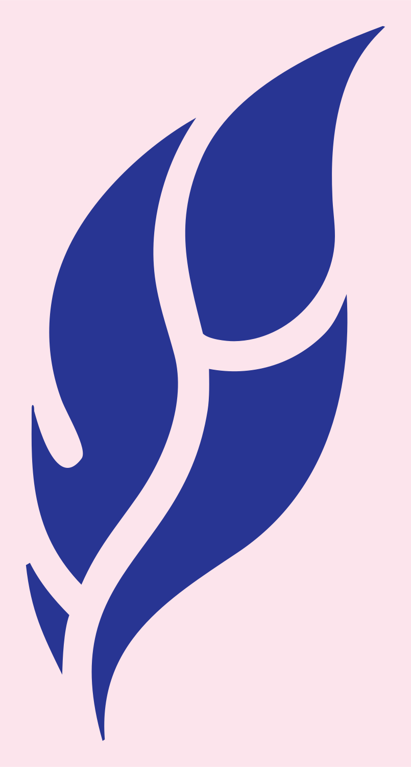 Bold Feather Quill Mark #fce4ec/#283593