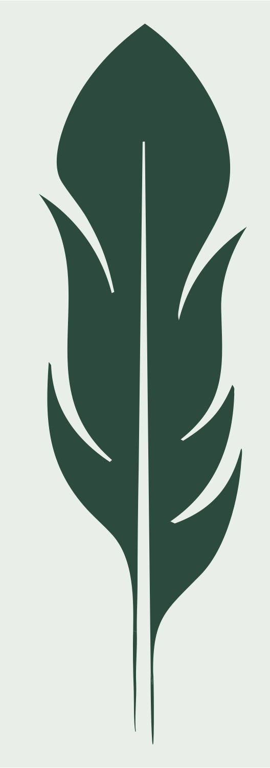 Bold Feather Plume Icon #e8efe9/#2d4a3e