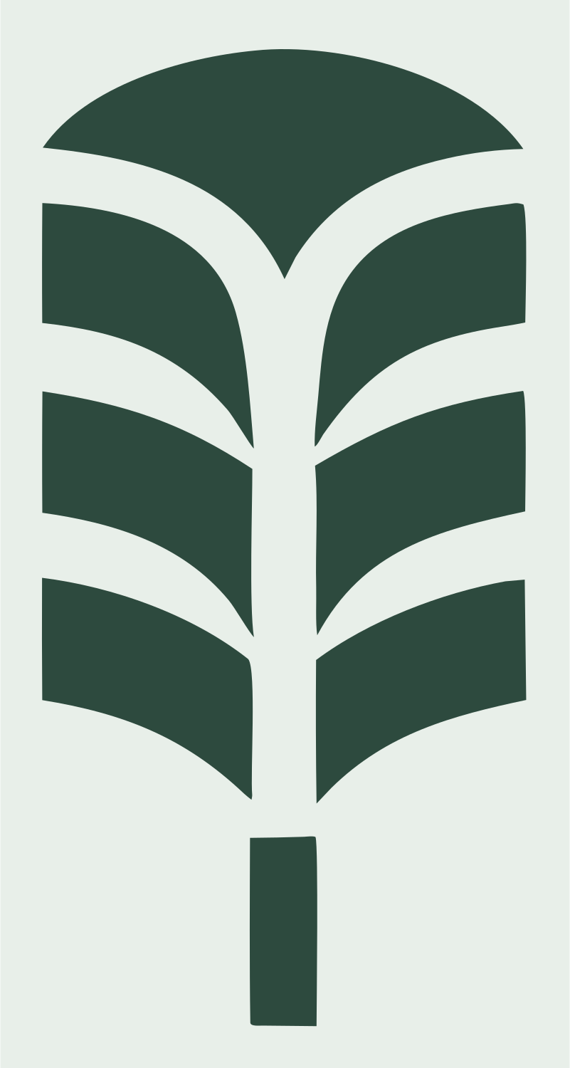 Bold Palm Feather Mark #e8efe9/#2d4a3e