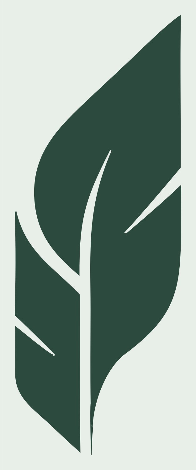 Layered Feather Split Logo #e8efe9/#2d4a3e