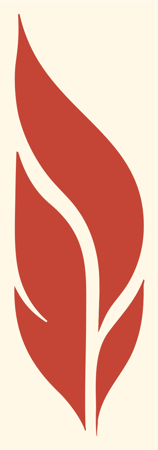 Negative Space Feather Split Mark #fff8e7/#c44536