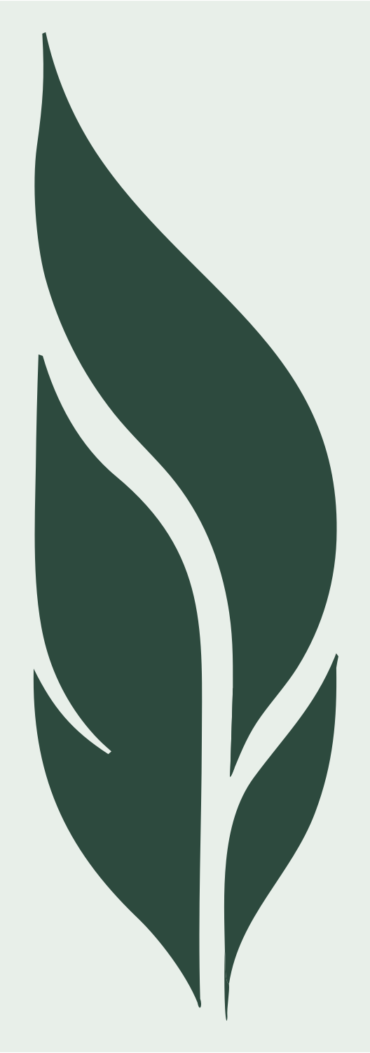 Negative Space Feather Split Mark #e8efe9/#2d4a3e