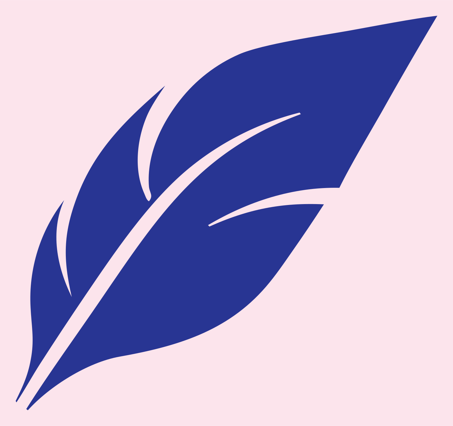 Bold Feather Wing Icon #fce4ec/#283593