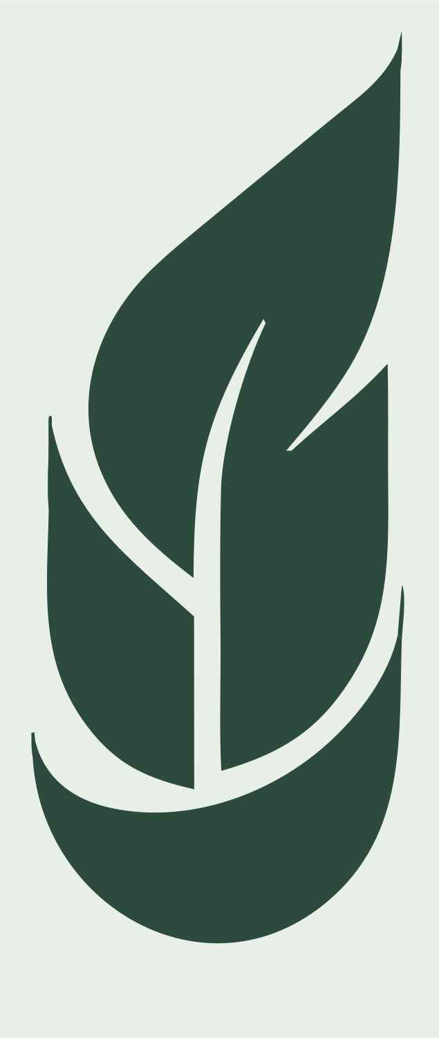 Curved Feather Spine Logo #e8efe9/#2d4a3e