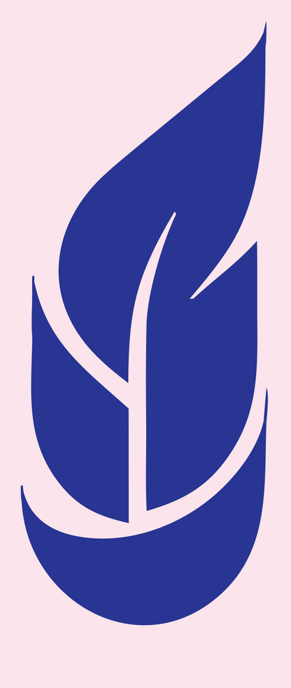 Curved Feather Spine Logo #fce4ec/#283593
