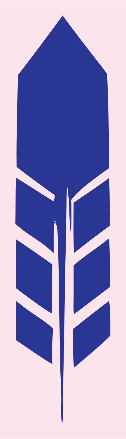 Heavy Feather Chevron Crest #fce4ec/#283593