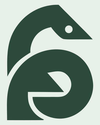 Geometric Gecko Coil Mark #e8efe9/#2d4a3e