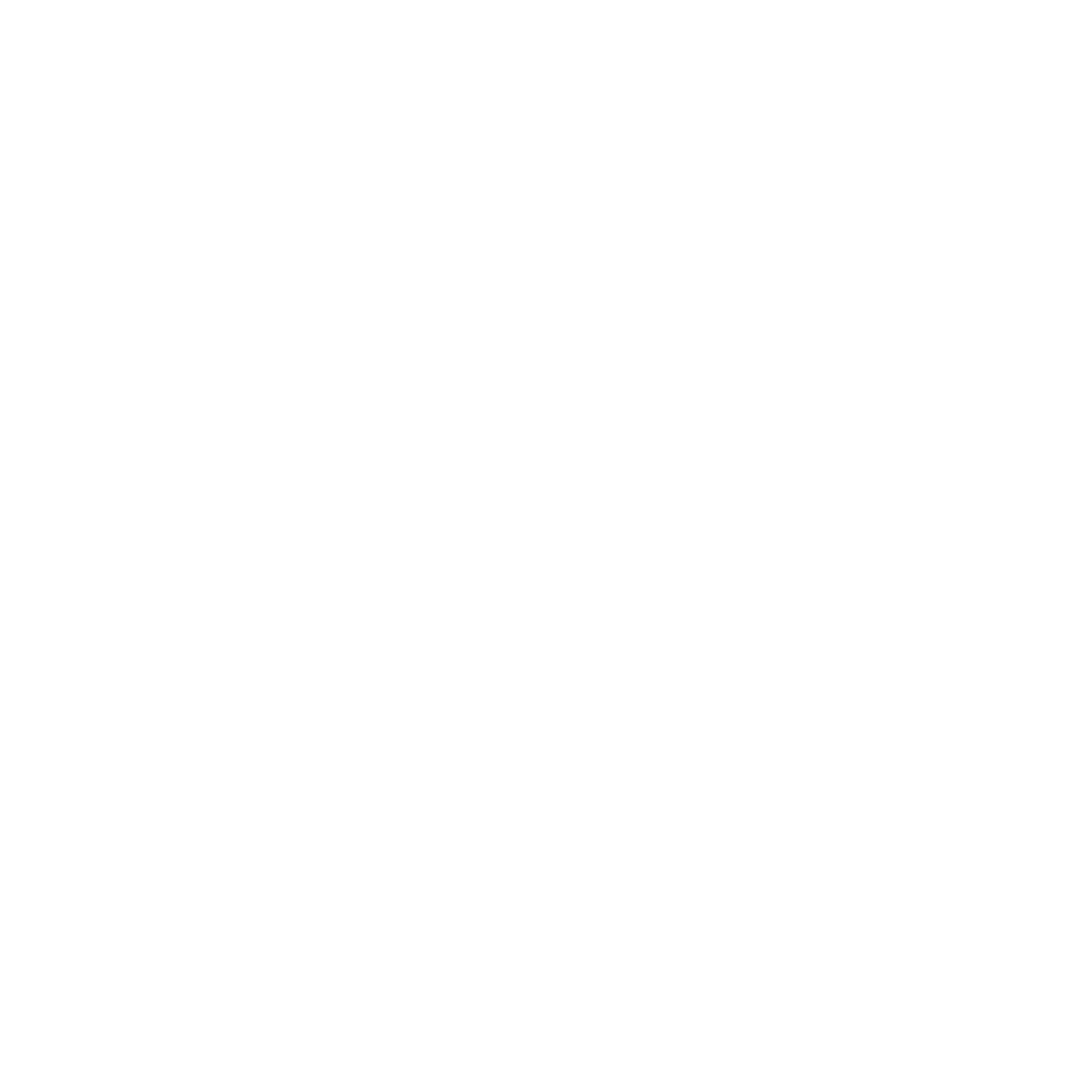 Abstract Bird Logo #ffffff