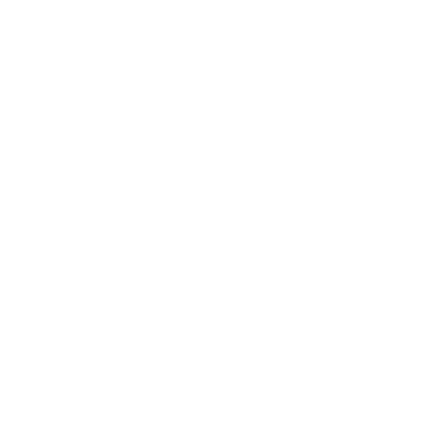 Abstract Bird Logo #ffffff