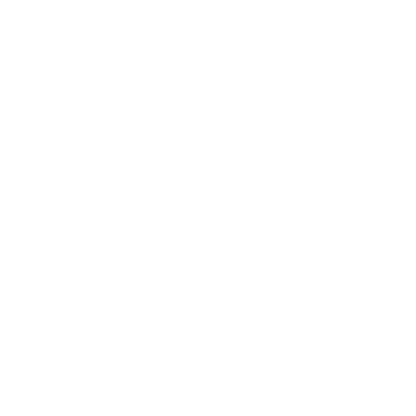 Abstract Bird Logo #ffffff