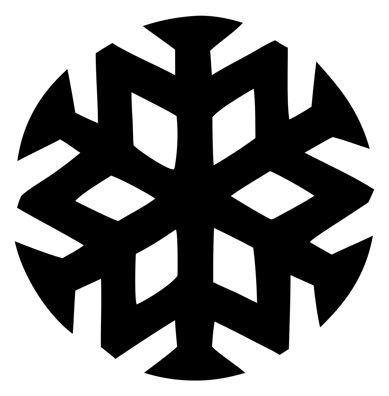 Negative Space Snowflake Circle Badge #ffffff/#000000