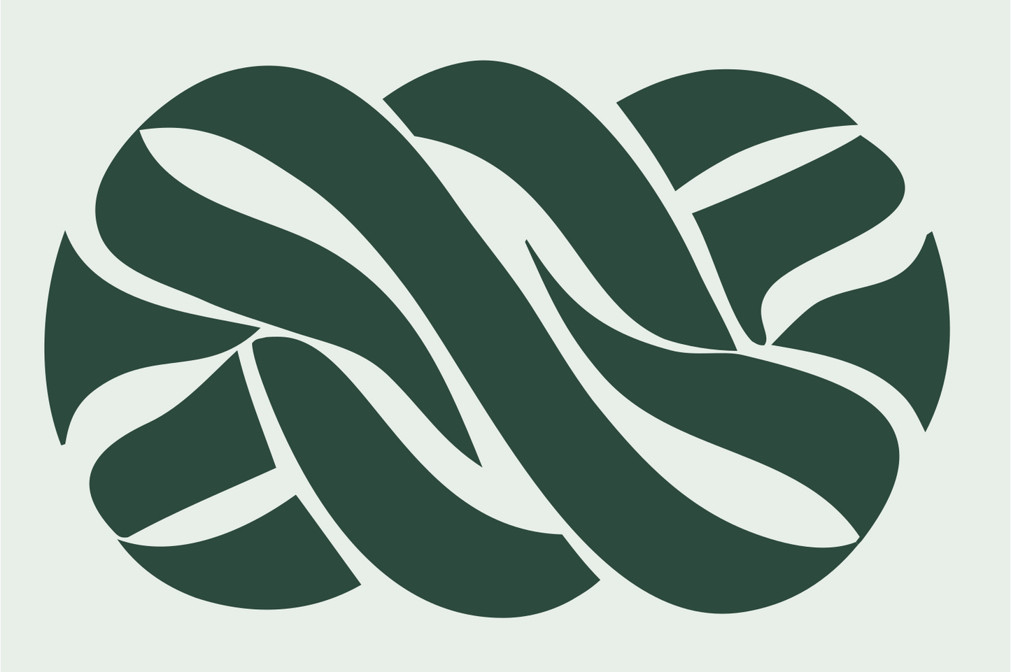 Braided Knot Twist Mark #e8efe9/#2d4a3e