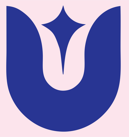 Bold Tulip Compass Mark #fce4ec/#283593