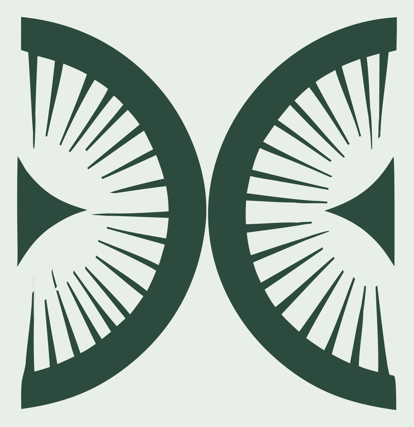 Bold Radiating Compass Mark #e8efe9/#2d4a3e
