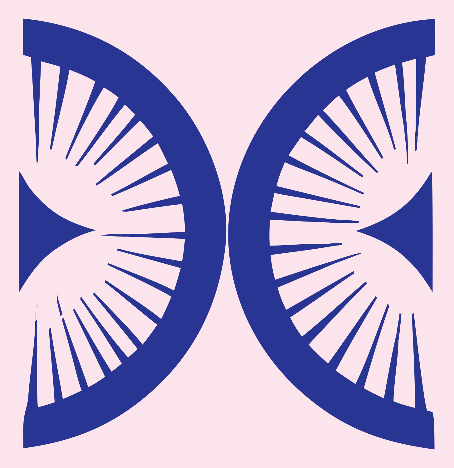 Bold Radiating Compass Mark #fce4ec/#283593