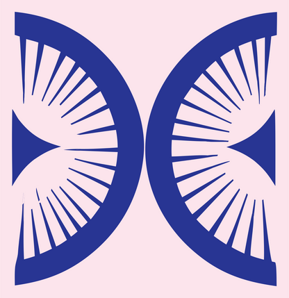 Bold Radiating Compass Mark #fce4ec/#283593