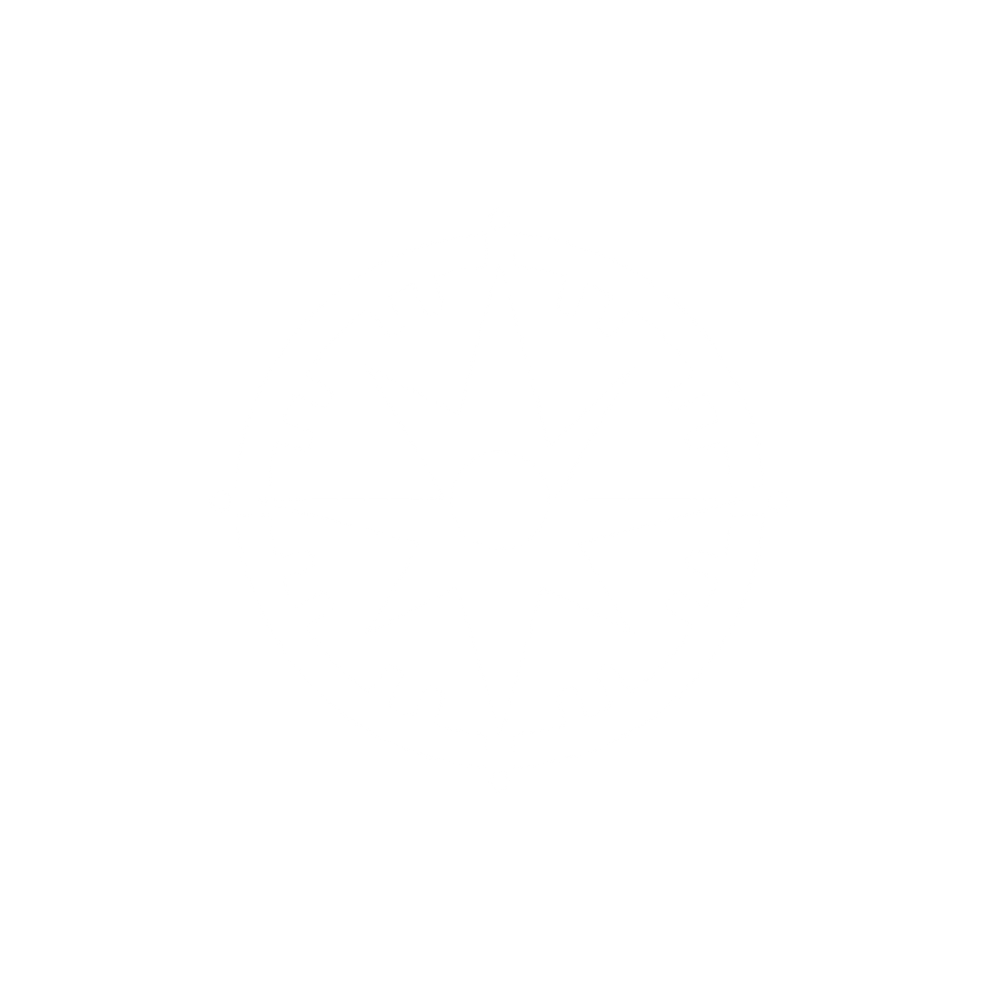 Compass Star Logo #ffffff