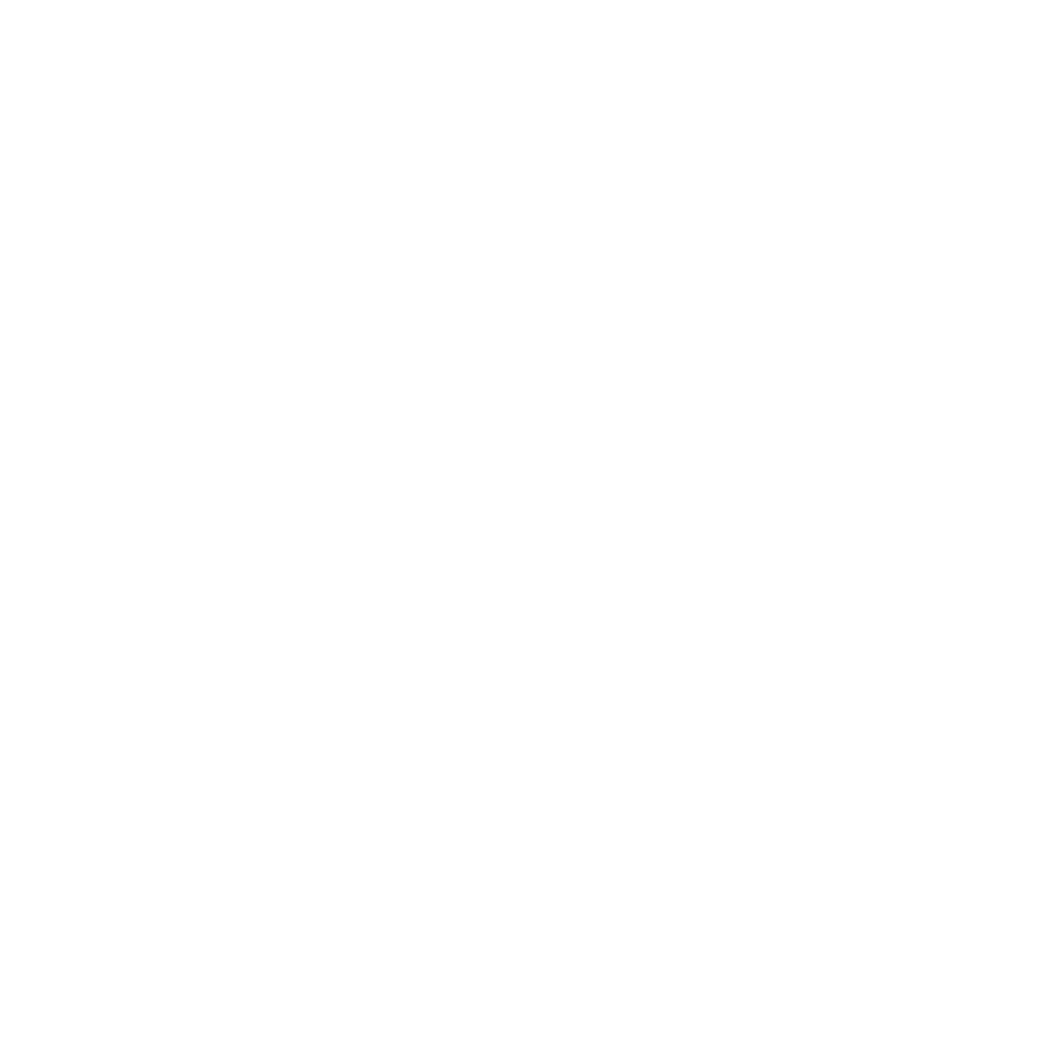 Compass Star Logo #ffffff