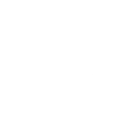 Compass Star Logo #ffffff