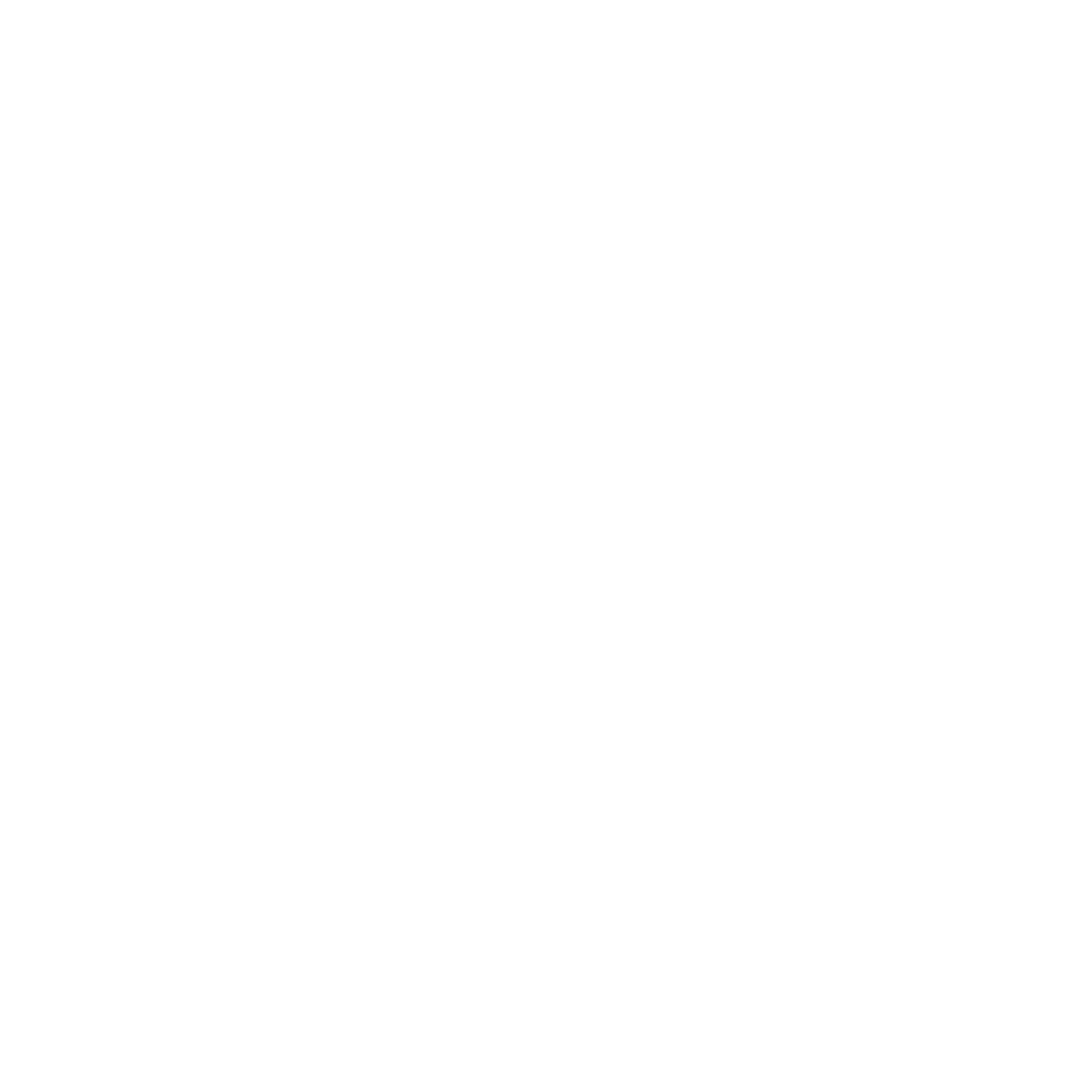 Crown Logo #ffffff