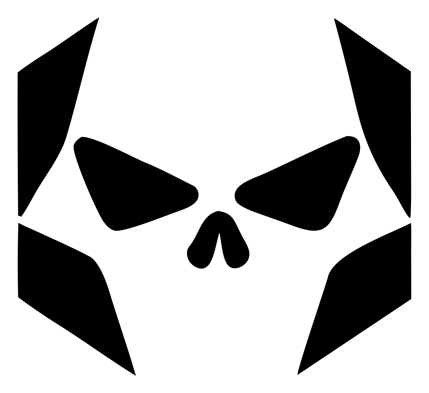 Fragmented Skull Hexagon Mark #ffffff/#000000