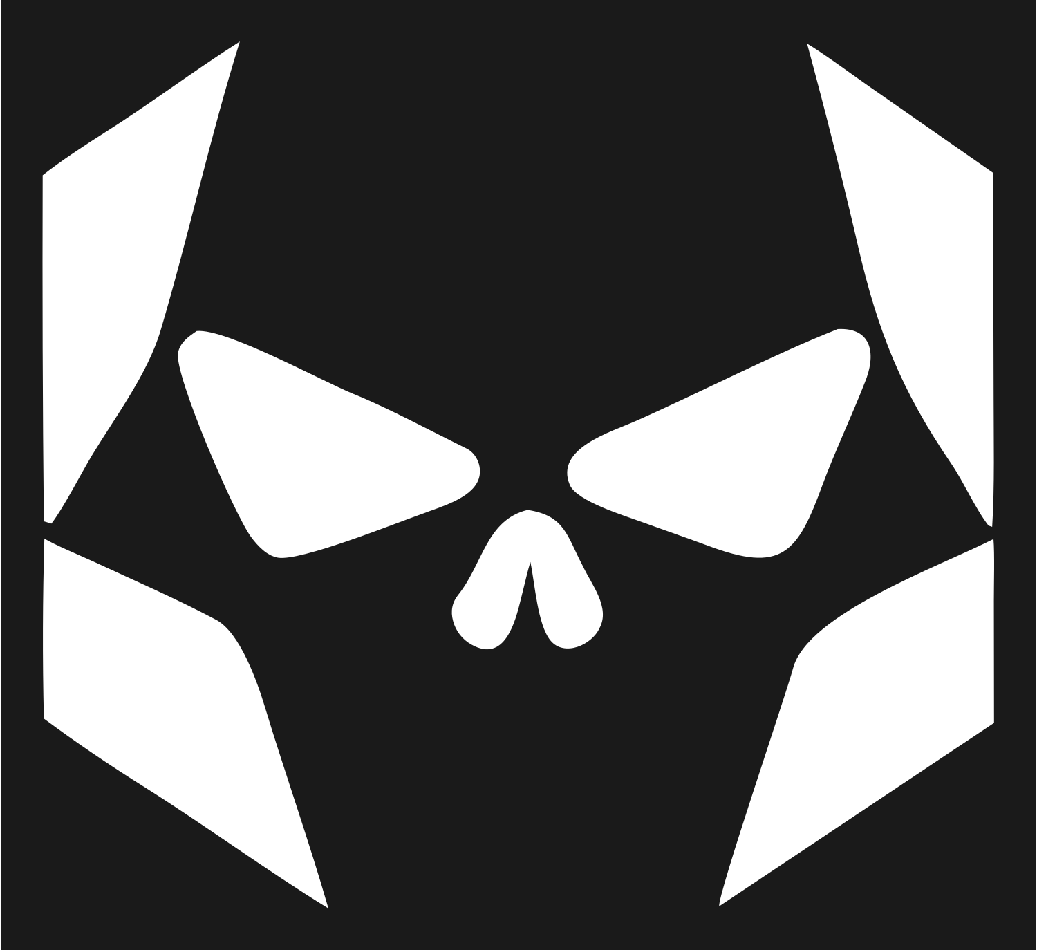 Fragmented Skull Hexagon Mark #1a1a1a/#ffffff