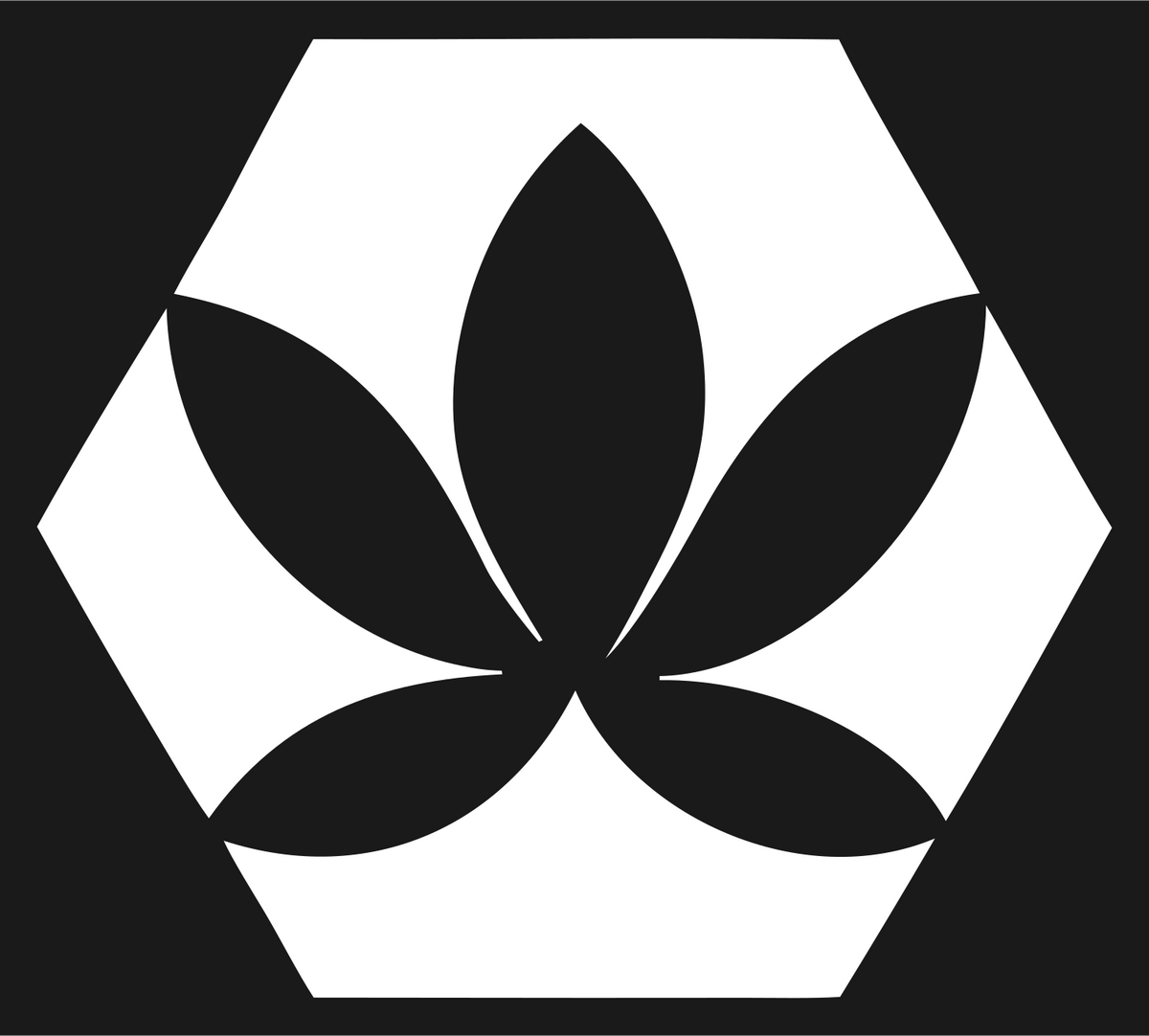 Negative Space Hexagon Lotus Mark #1a1a1a/#ffffff