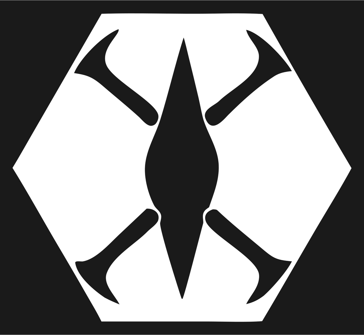 Negative Space Drone Hexagon Mark #1a1a1a/#ffffff