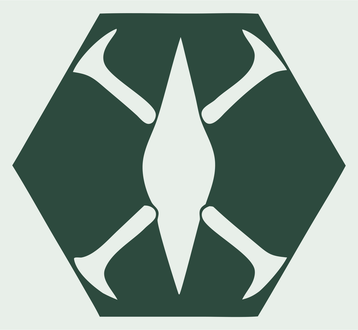 Negative Space Drone Hexagon Mark #e8efe9/#2d4a3e