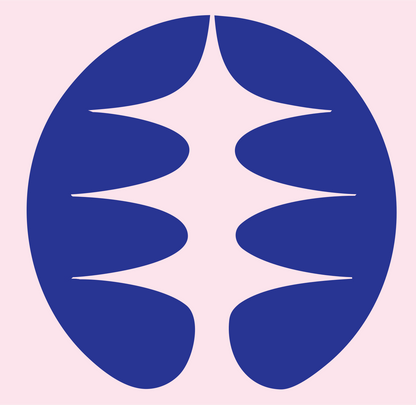 Negative Space Signal Wave Badge #fce4ec/#283593
