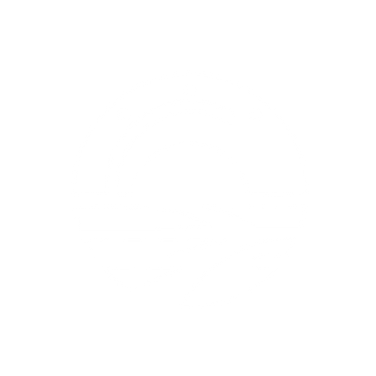 Abstract Eagle Logo #ffffff
