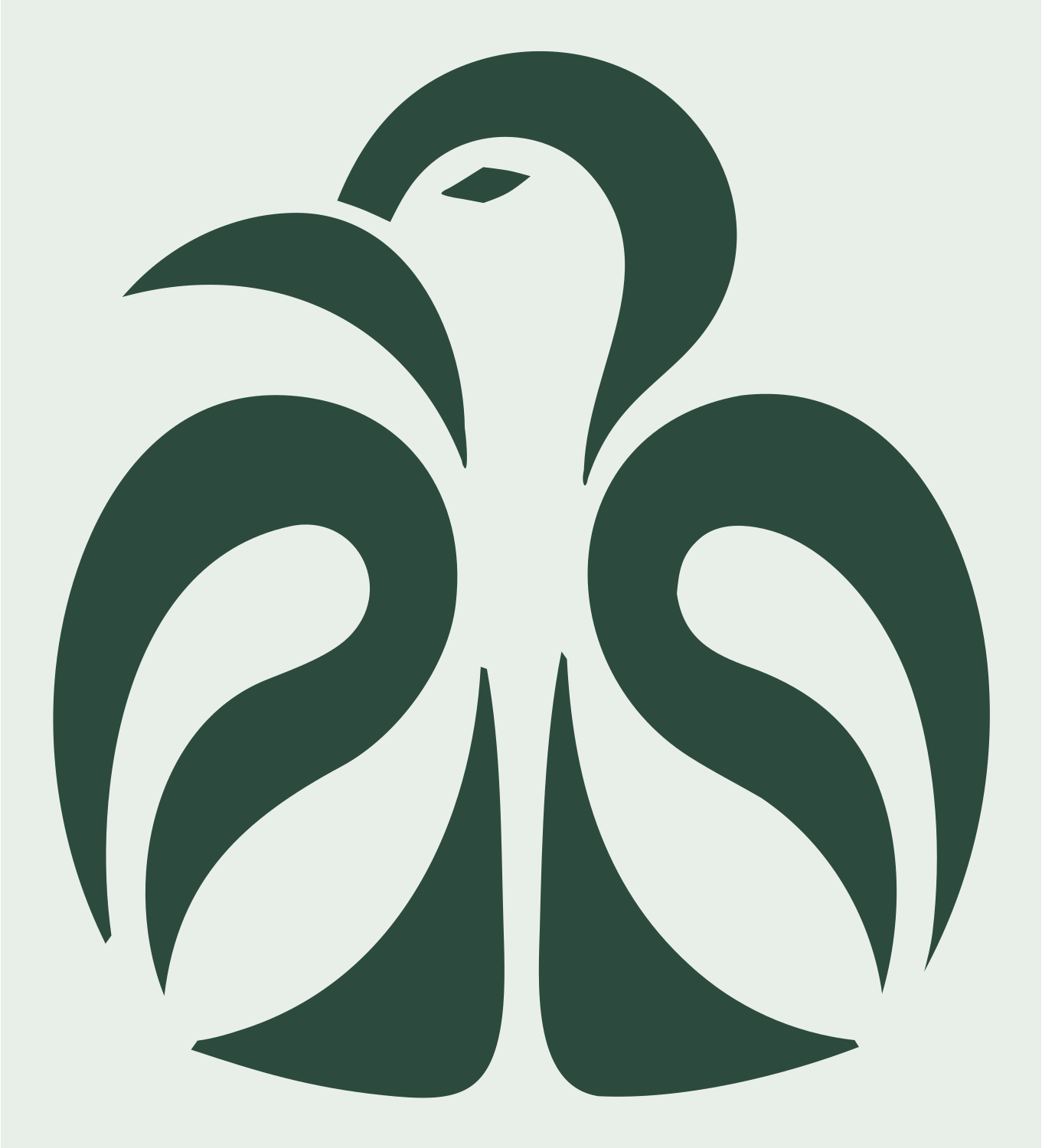 Monoline Peacock Spread Crest #e8efe9/#2d4a3e