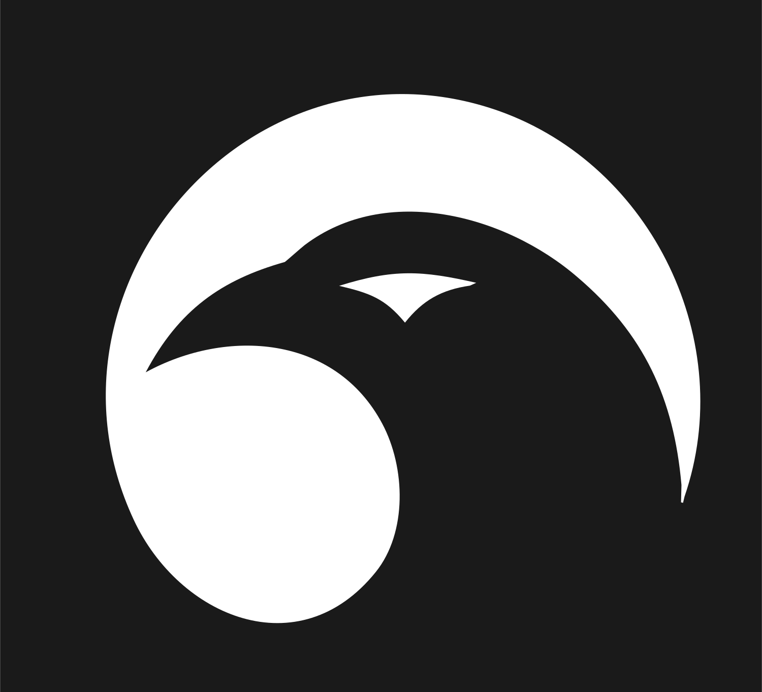 Negative Space Eagle Head Mark #1a1a1a/#ffffff