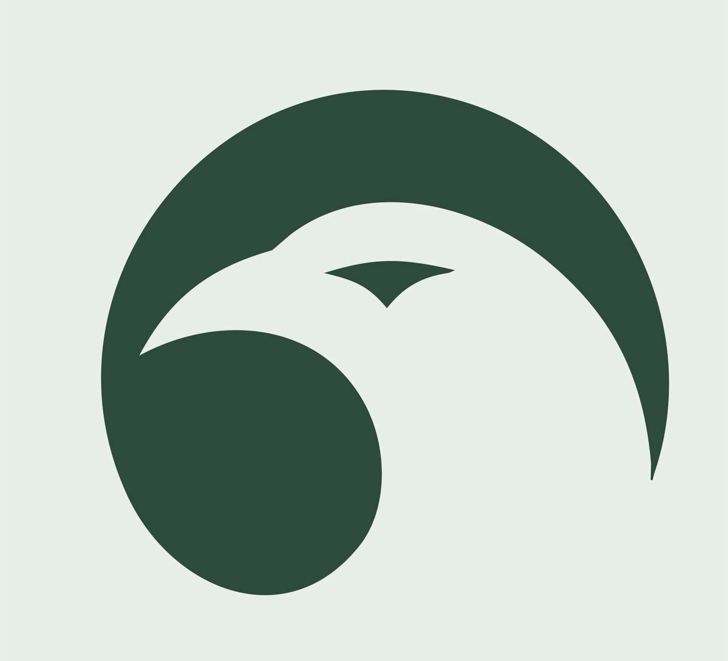 Negative Space Eagle Head Mark #e8efe9/#2d4a3e