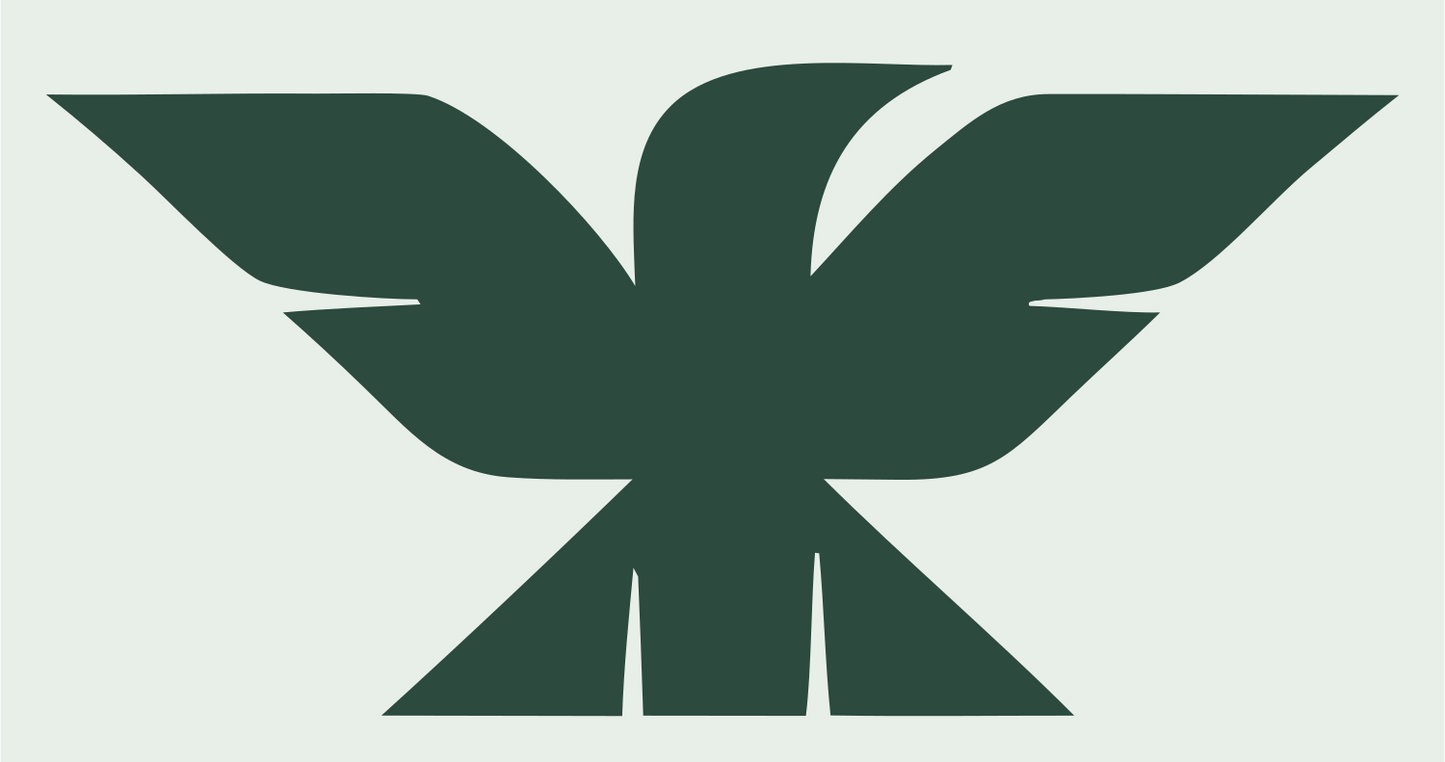 Bold Eagle Spread Wings Mark #e8efe9/#2d4a3e