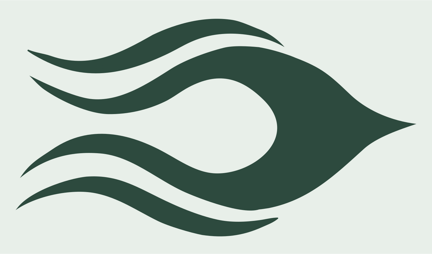 Tribal Flame Wave Logo #e8efe9/#2d4a3e
