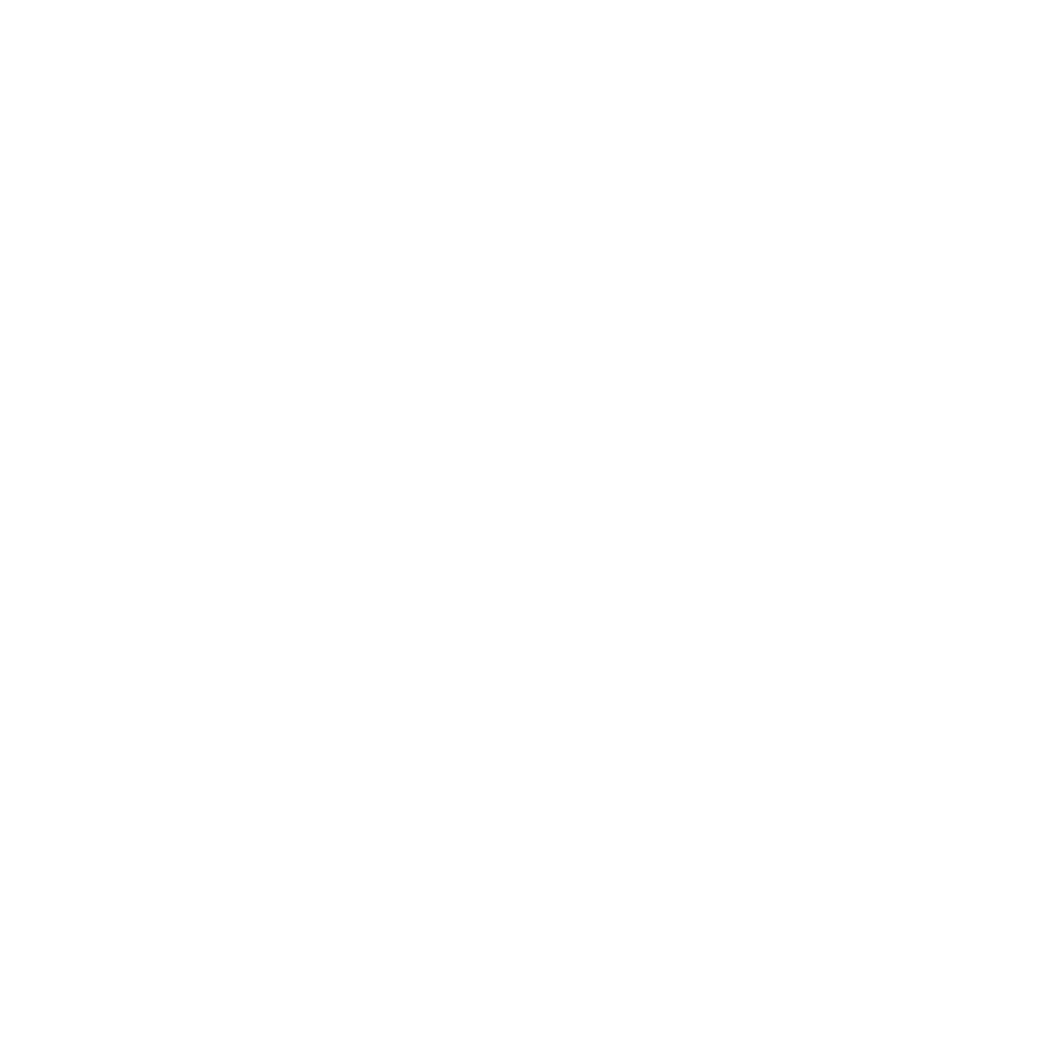 Mountain Mail Logo #ffffff
