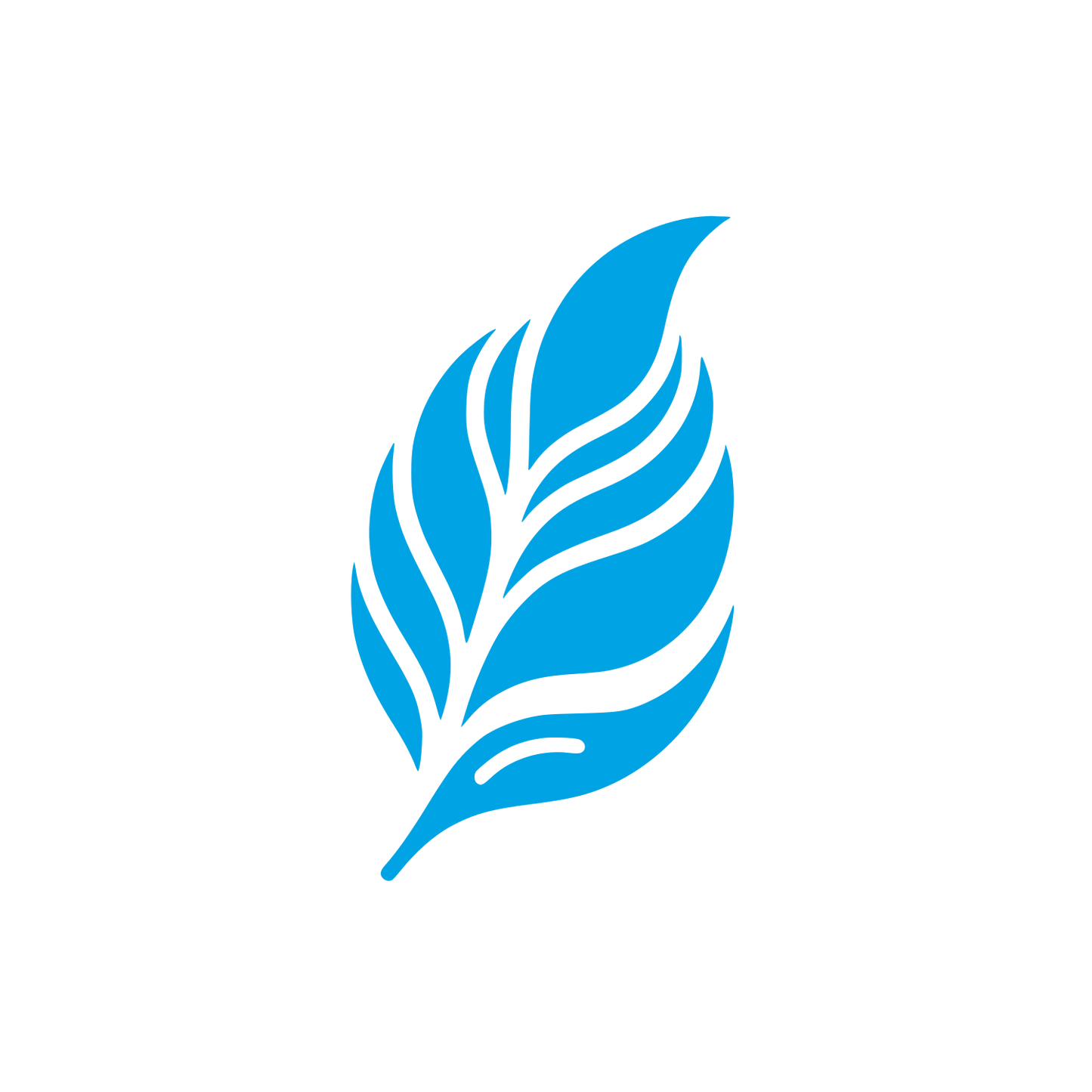 Leaf Silhouette Logo #00a3e4