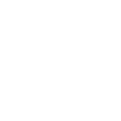 Leaf Silhouette Logo #ffffff