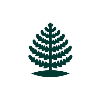 Fern Tree Logo #003932