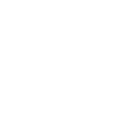Fern Minimalist Logo #ffffff