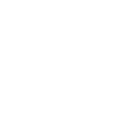 Bold Flame Logo #ffffff