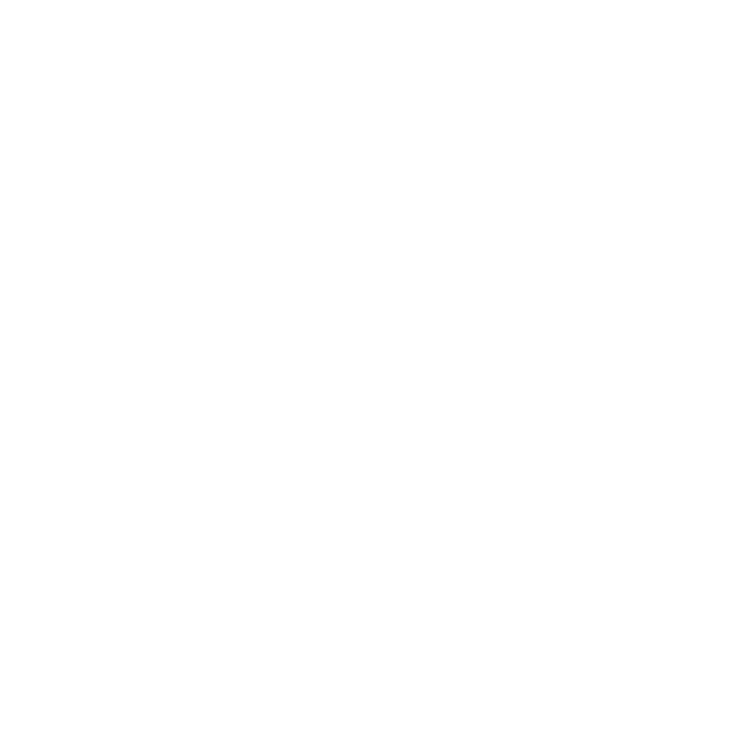 Abstract Flame Logo #ffffff