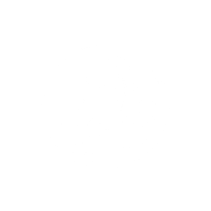 Flame Logo #ffffff